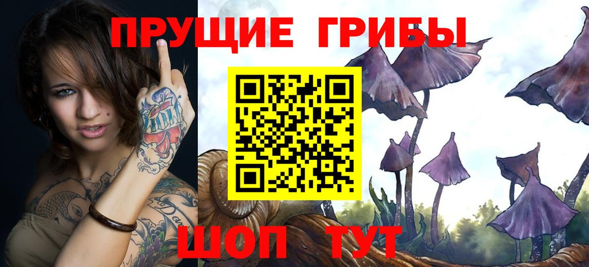 Псилоцибиновые грибы Cubensis  закладка  Петропавловск-Камчатский  Вход с VPN 